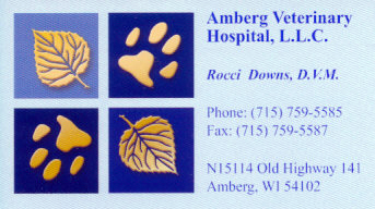 Amberg Veterinary Hospital
