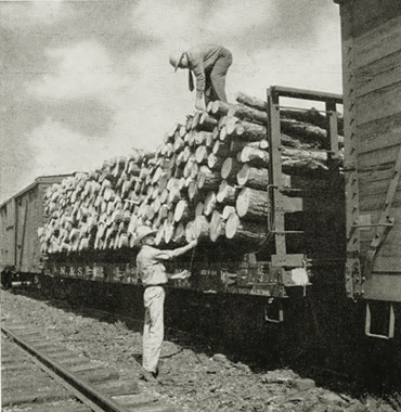 Shipping Logs